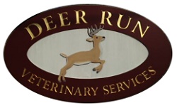 Deer Run Veterinary Services