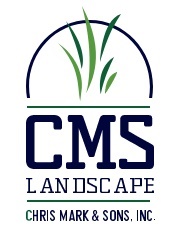 CMS Landscape