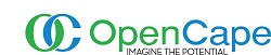 OpenCape Corporation